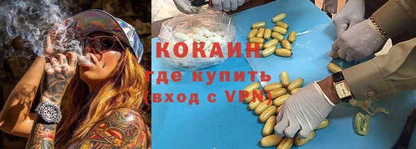 дживик Покров