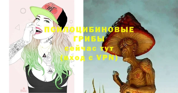 скорость Покачи